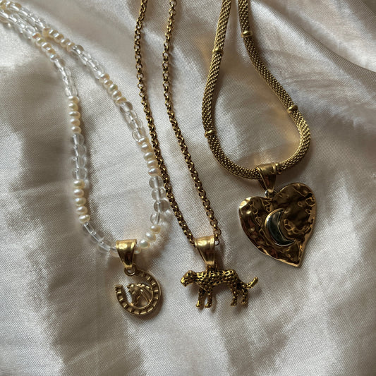 -New- Moon in ♡ Charm